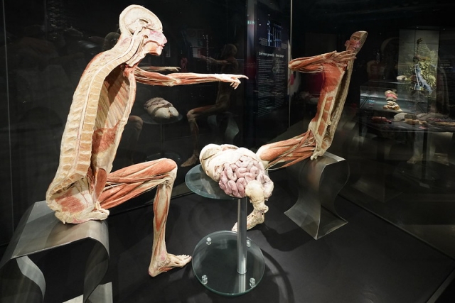 Kívül-belül test - múzeumok Hollandiában