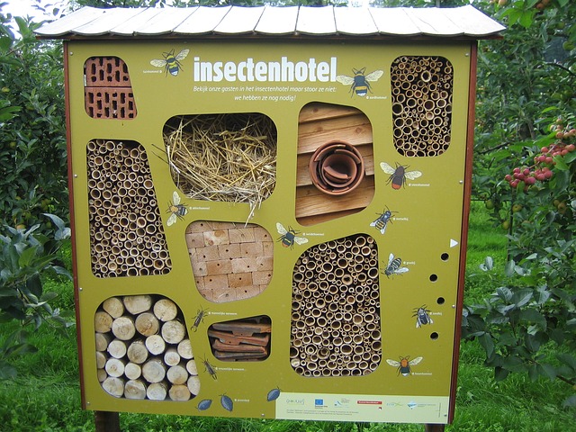 Insectenhotel - Egy hotel a rovaroknak